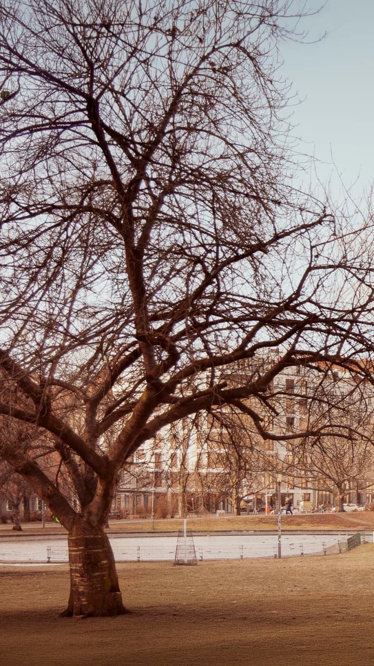 Image description goes here.