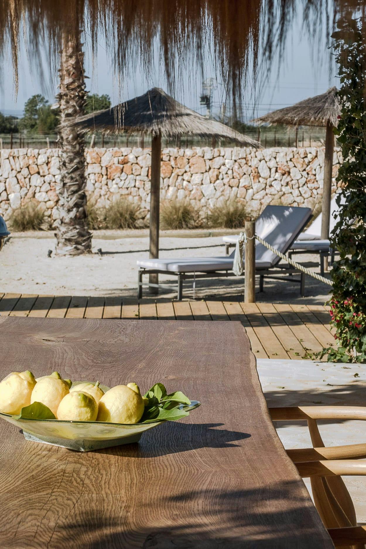 The image features a wooden table with a bowl of lemons and a plate of oranges on it, placed on a patio.