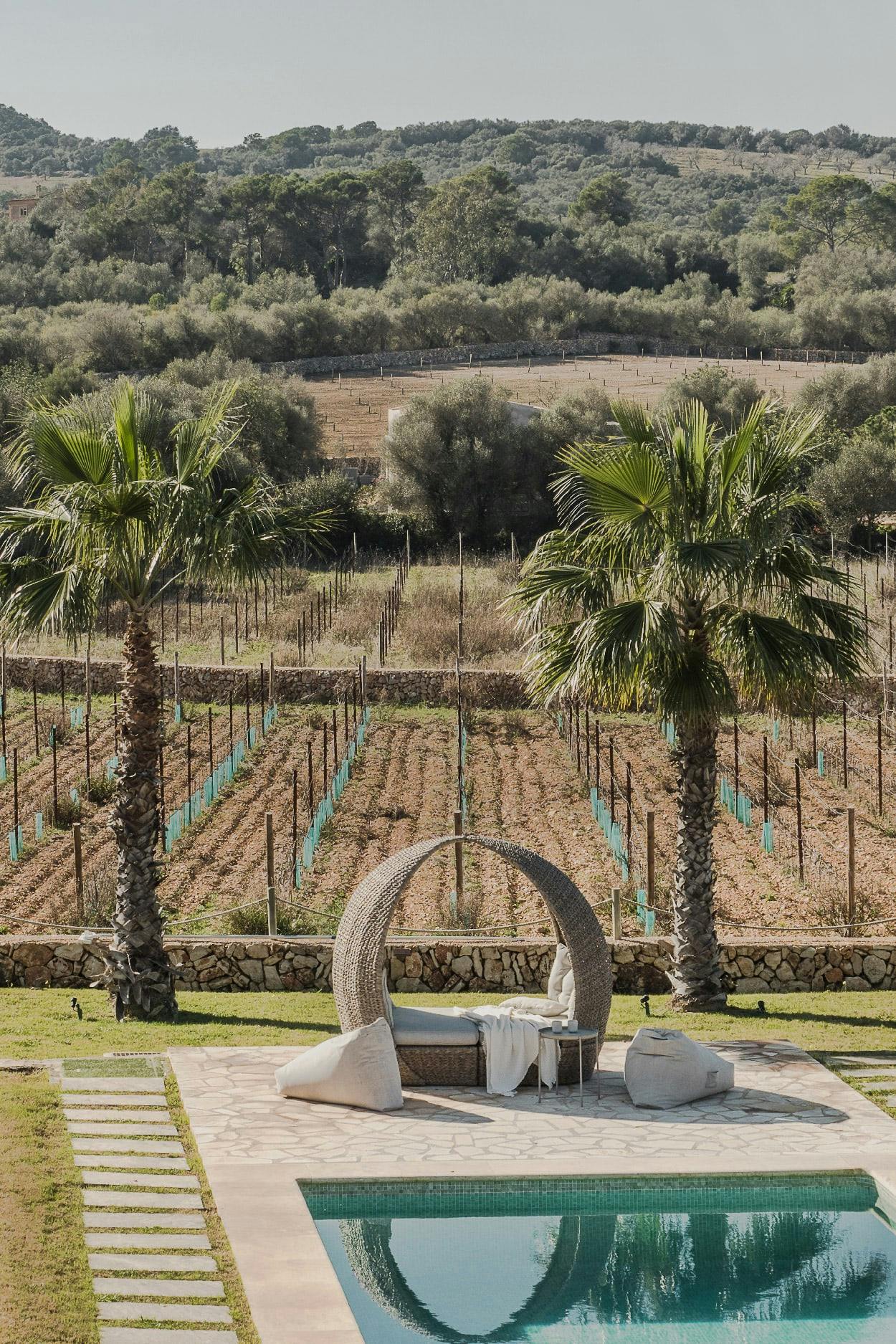 The image features a large swimming pool surrounded by a lush green field, with a view of a hillside and a garden. There are several palm trees in the area, and a bench is placed near the pool.