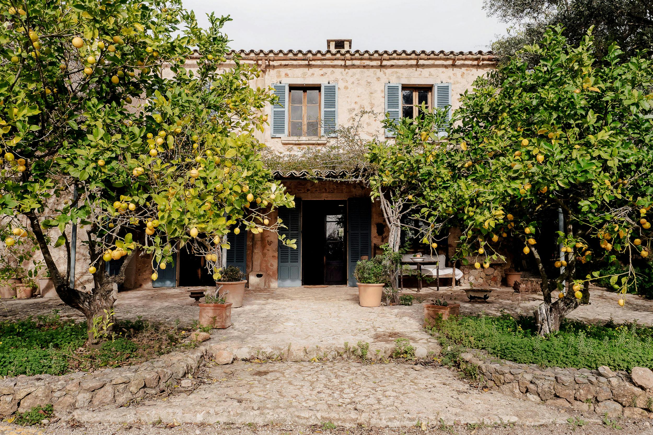 The image features a large, old building with a stone facade, surrounded by a courtyard filled with oranges.