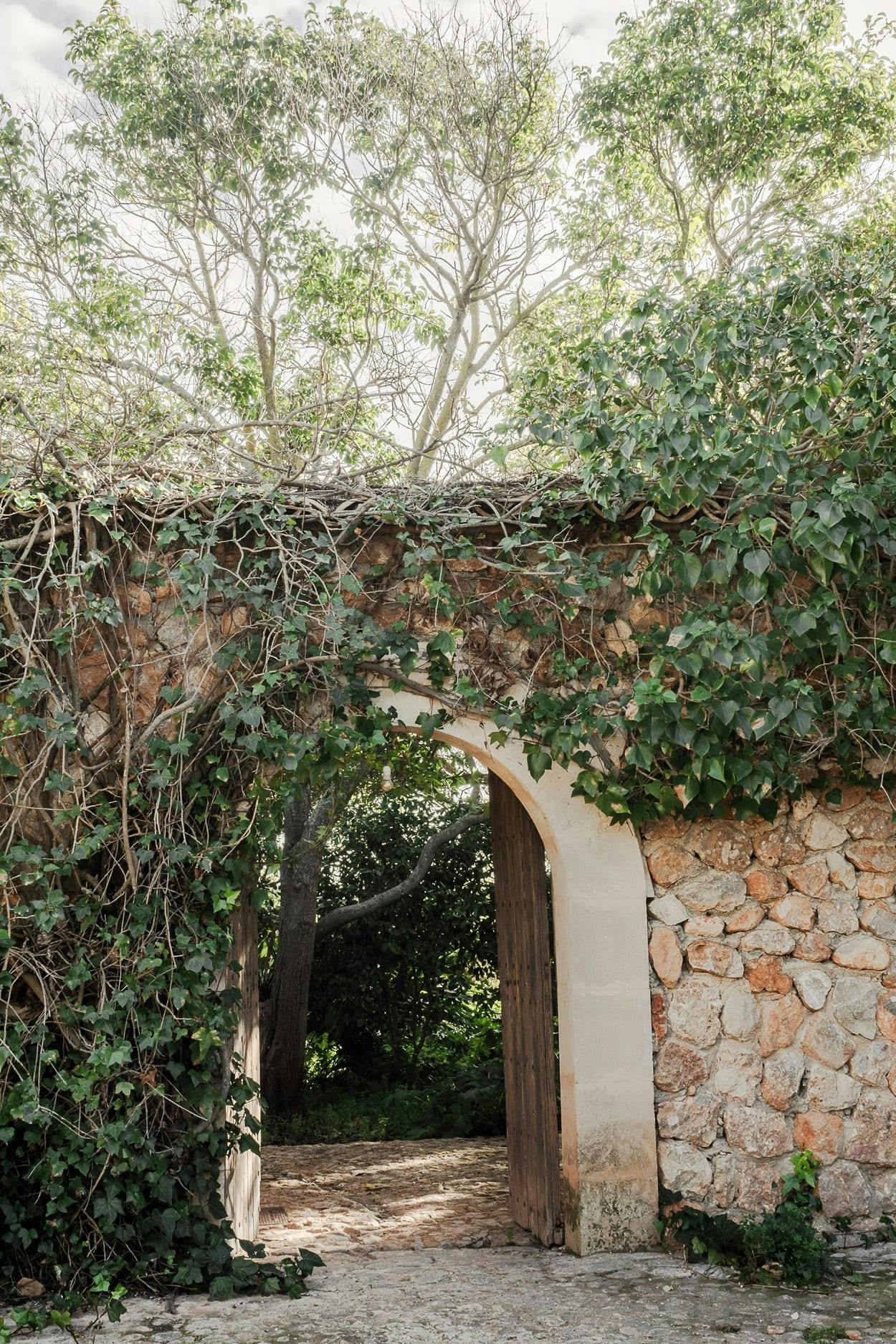 A stone archway with a vine-covered archway is surrounded by trees, creating a serene and picturesque scene.