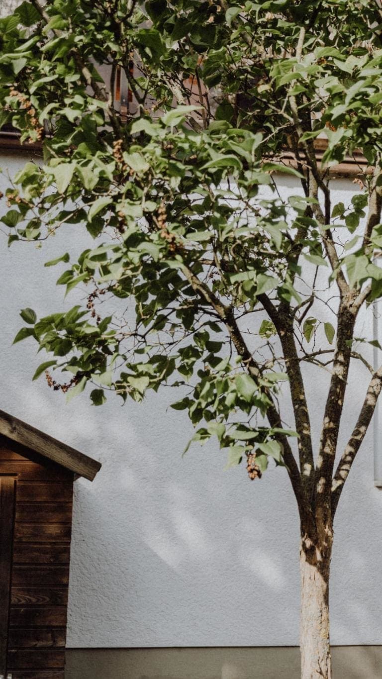 Image description goes here.