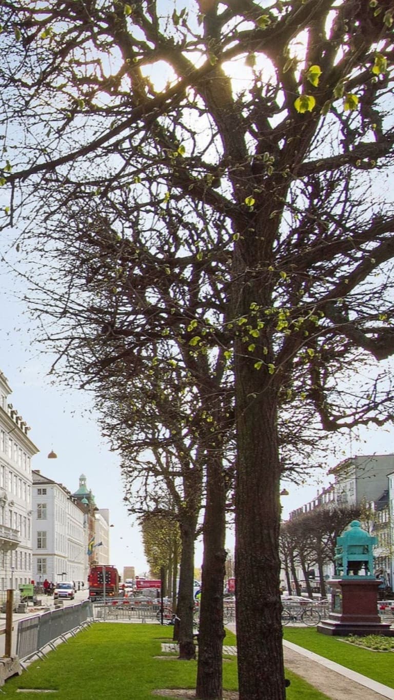 Image description goes here.