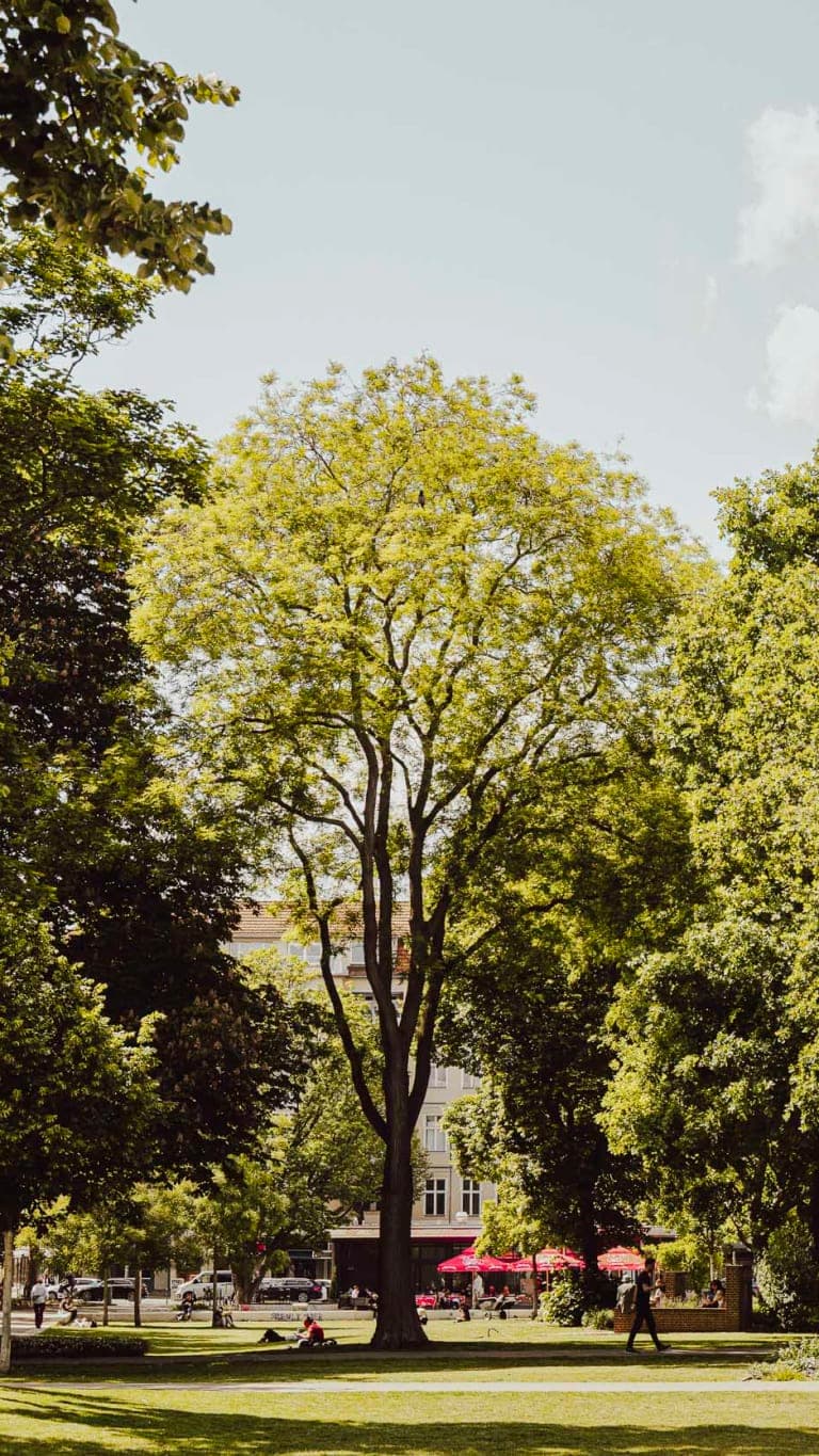 Image description goes here.