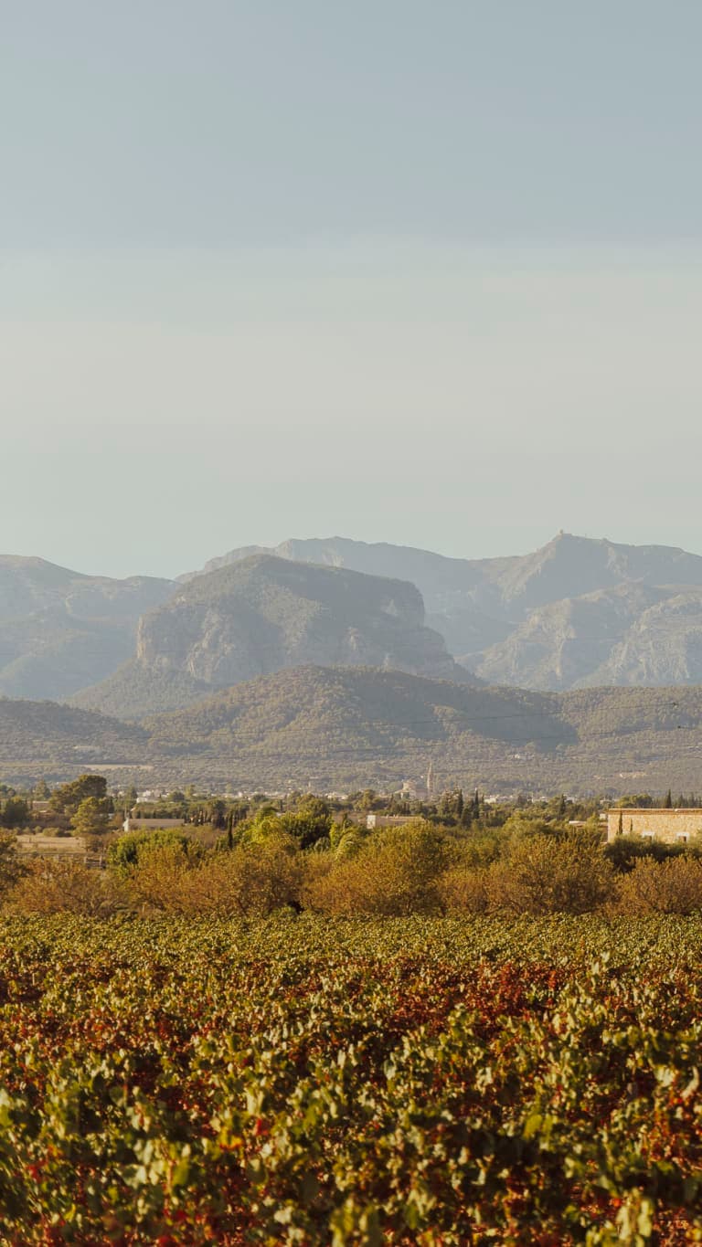 Image description goes here.