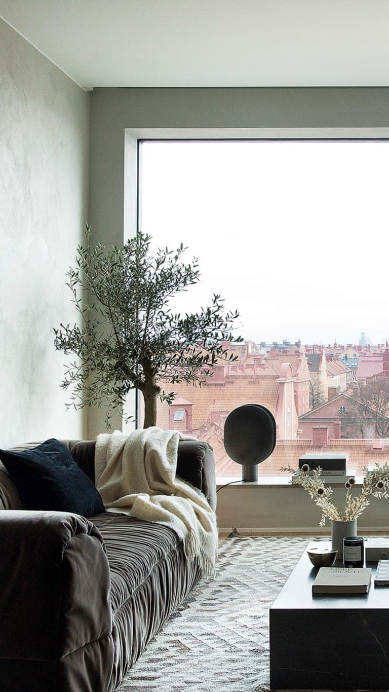 Image description goes here.